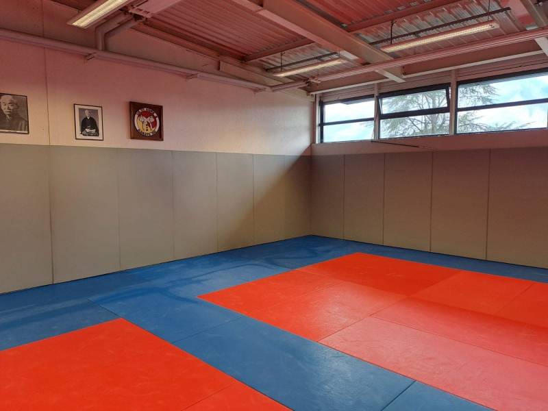 Une vue d'ensemble d'un tatami de deux couleurs différentes