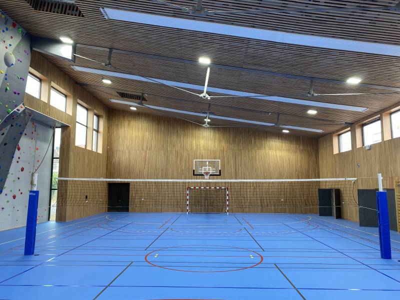 Filet pour terrain principal avec protection de poteau bleu